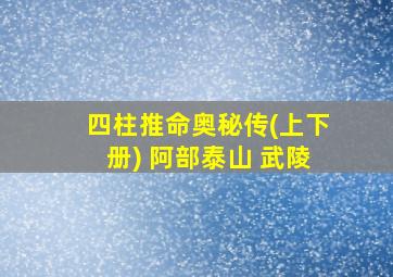 四柱推命奥秘传(上下册) 阿部泰山 武陵